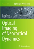 Helmchen, Helmchen, Fritjof Helmchen, Brun Weber, Bruno Weber - Optical Imaging of Neocortical Dynamics
