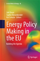 Sophi Biesenbender, Sophie Biesenbender, Kai Schulze, Jale Tosun - Energy Policy Making in the EU
