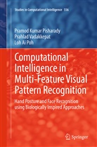 Pramod Pisharady, Pramod Kuma Pisharady, Pramod Kumar Pisharady, L Poh, Loh Ai Poh, Prahla Vadakkepat... - Computational Intelligence in Multi-Feature Visual Pattern Recognition