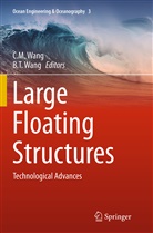 M Wang, C M Wang, T Wang, T Wang, B. T. Wang, B.T. Wang... - Large Floating Structures