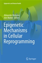 Alexande Meissner, Alexander Meissner, Walter, Walter, Jörn Walter - Epigenetic Mechanisms in Cellular Reprogramming