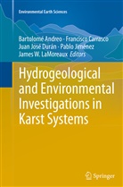 Bartolomé Andreo, Francisc Carrasco, Francisco Carrasco, Juan José Durán, Pablo Jiménez, Juan José Durán et al... - Hydrogeological and Environmental Investigations in Karst Systems