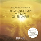 Pascal Voggenhuber, Enjoy This Life, Kampenwand Verlag, Enjo This Life, Kampenwand Verlag - Begegnungen mit dem Geistführer, Audio-CD (Hörbuch)