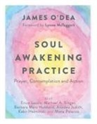 Barbara Marx Hubbard, Ervin Laszlo, Lynne McTaggart, James O'Dea, Michael A Singer, Michael A. Singer - Soul Awakening Practice