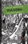 Julio Cortazar, Julio Cortázar - Bulusma