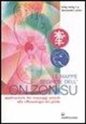 Alessandro Conte, C. Y. Ming Wong - Le mappe segrete dell'On Zon Su. Applicazione dei massaggi antichi alla riflessologia del piede