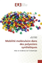 Eri Dargent, Eric Dargent, Allisson Saiter - Mobilité moléculaire dans des polyesters synthétiques