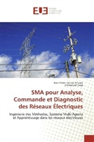 Jean-Pierr Lienou Tchawe, Jean-Pierre Lienou Tchawe, Emmanuel Tanyi - SMA pour Analyse, Commande et Diagnostic des Réseaux Électriques