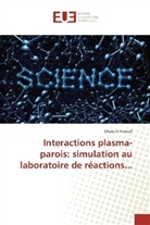 Ghaouti Hansali - Interactions plasma-parois: simulation au laboratoire de réactions...