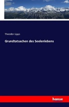 Theodor Lipps - Grundtatsachen des Seelenlebens