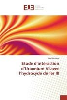 Nabil Bouhaya - Etude d'intéraction d'Urannium VI avec l'hydroxyde de fer III