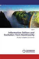 Qiao Bi - Information Soliton and Excitation from Nonlinearity
