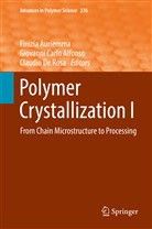 Giovanni Carlo Alfonso, Finizia Auriemma, Giovann Carlo Alfonso, Giovanni Carlo Alfonso, Claudio De Rosa, Claudio Rosa... - Polymer Crystallization I