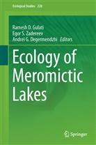 Andrei G. Degermendzhi, Andrei G Degermendzhi, Ramesh D. Gulati, Ego S Zadereev, Egor S Zadereev, Egor S. Zadereev - Ecology of Meromictic Lakes