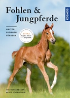 Ute Ochsenbauer, Beat Schmidtlein, Beate Schmidtlein, Chris Semmel - Fohlen und Jungpferde