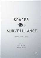 Susa Flynn, Susan Flynn, Mackay, Mackay, Antonia Mackay - Spaces of Surveillance