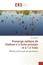 Marie Abboud - Pompage optique de l'hélium-3 à forte pression et à 1.5 Tesla