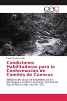 Paola Anisabel Castillo - Condiciones Habilitadoras para la Conformación de Comités de Cuencas