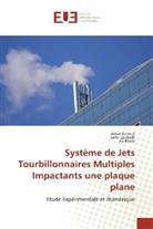 Ali Khelil, Larb Loukarfi, Larbi Loukarfi, Ama Zerrout, Amar Zerrout - Système de Jets Tourbillonnaires Multiples Impactants une plaque plane