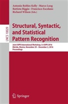 Battista Biggio, Battista Biggio et al, Francisco Escolano, Marc Loog, Marco Loog, Antonio Robles-Kelly... - Structural, Syntactic, and Statistical Pattern Recognition