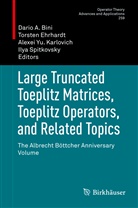 Dario A. Bini, Torste Ehrhardt, Torsten Ehrhardt, Alexei Yu. Karlovich, Ilya Spitkovsky, Ilya M. Spitkovsky... - Large Truncated Toeplitz Matrices, Toeplitz Operators, and Related Topics