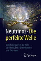 Heinrich Pas, Heinrich Päs - Neutrinos - die perfekte Welle