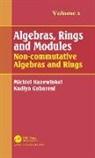 Nadiya Gubareni, Nadiya M. Gubareni, Nadiya M. (Czestochowa University of Technology Gubareni, Gubareni Nadiya M., Michiel Hazewinkel, Michiel Gubareni Hazewinkel - Algebras, Rings and Modules, Volume 2