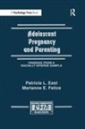 Patricia L East, Patricia L. East, Patricia L. Felice East, Marianne E Felice, Marianne E. Felice - Adolescent Pregnancy and Parenting