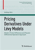 Andrey Itkin - Pricing Derivatives Under Lévy Models