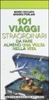 Beppe Ceccato, Andrea Forlani, E. Tanzillo - 101 viaggi straordinari da fare almeno una volta nella vita
