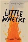 Meredith Miller - Little Wrecks