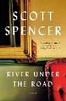 Scott Spencer - River Under the Road