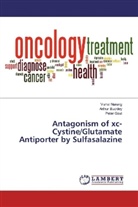 Arthu Buckley, Arthur Buckley, Peter Gout, Visha Narang, Vishal Narang - Antagonism of xc- Cystine/Glutamate Antiporter by Sulfasalazine