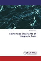 Petr Akhmet'ev - Finite-type invariants of magnetic lines