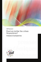 Adil Naamane - Peut-on éviter les crises financières?
