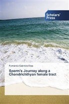 Fernanda Gabriela Elias - Sperm's Journey along a Chondrichthyan female tract