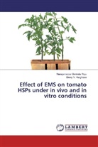 Narayanappa Govind Raju, Narayanappa Govinda Raju, Binny V Varghese, Binny V. Varghese - Effect of EMS on tomato HSPs under in vivo and in vitro conditions