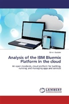 Ermin Sadulov - Analysis of the IBM Bluemix Platform in the cloud