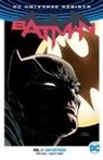 David Finch, Mikel Janin, To King, Tom King, Scott Snyder, David Finch... - I Am Gotham