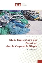 Jobert Tchuidjang M, Jobert Tchuidjang M. - Etude Exploratoire des Parasites chez la Carpe et le Tilapia