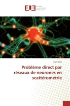 Goni Saka - Problème direct par réseaux de neurones en scattérometrie