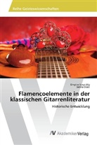 Dmytro Savytskiy, Selina Stekl - Flamencoelemente in der klassischen Gitarrenliteratur