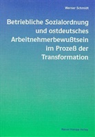 Werner Schmidt - Betriebliche Sozialordnung und ostdeutsches Arbeitnehmerbewußtsein im Prozeß der Transformation
