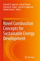 Avinash K Agarwal, Avinash K. Agarwal, Suresh K. Aggarwal, Ashwani K. Gupta, Ashwani K Gupta et al, Abhijit Kushari... - Novel Combustion Concepts for Sustainable Energy Development