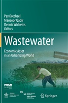 Pay Drechsel, Manzoo Qadir, Manzoor Qadir, Dennis Wichelns - Wastewater