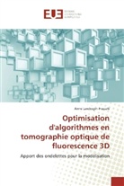 Anne Landragin-Frassati - Optimisation d'algorithmes en tomographie optique de fluorescence 3D