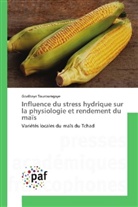 Goalbaye Touroumgaye - Influence du stress hydrique sur la physiologie et rendement du maïs