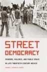 Sandra C. Mendiola Garcaia, Sandra C Mendiola Garcia, Sandra C. Mendiola Garcia - Street Democracy