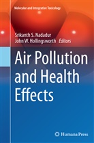 John W. Hollingsworth, Srikanth S Nadadur, Srikanth S. Nadadur, Srikant S Nadadur, W Hollingsworth - Air Pollution and Health Effects