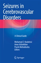 Ame Alshekhlee, Amer Alshekhlee, Mohamad Z Koubeissi, Mohamad Z. Koubeissi, Prachi Mehndiratta - Seizures in Cerebrovascular Disorders